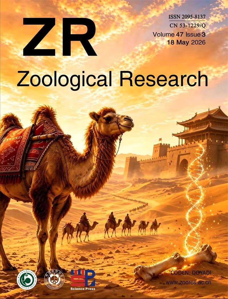 202603